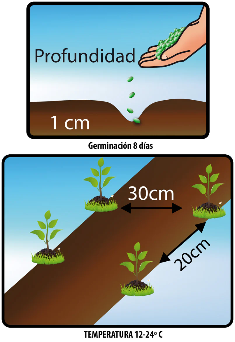 Imagen del producto 2