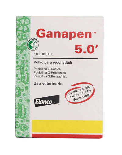 Imagen del producto 4