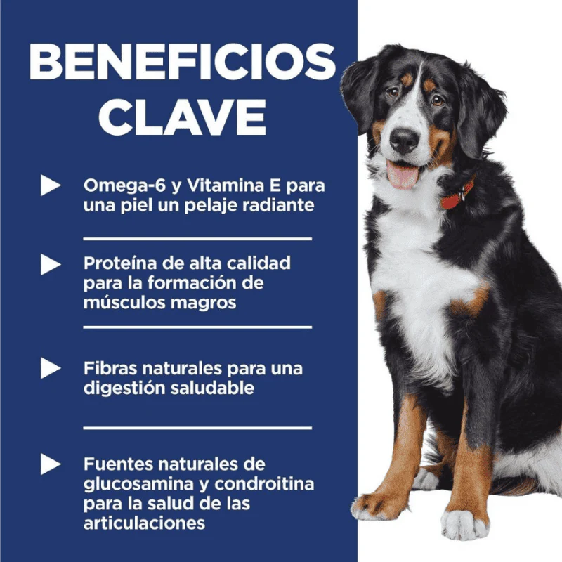 Imagen del producto 4