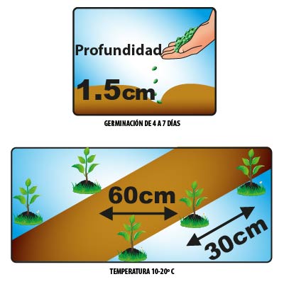 Imagen del producto 2