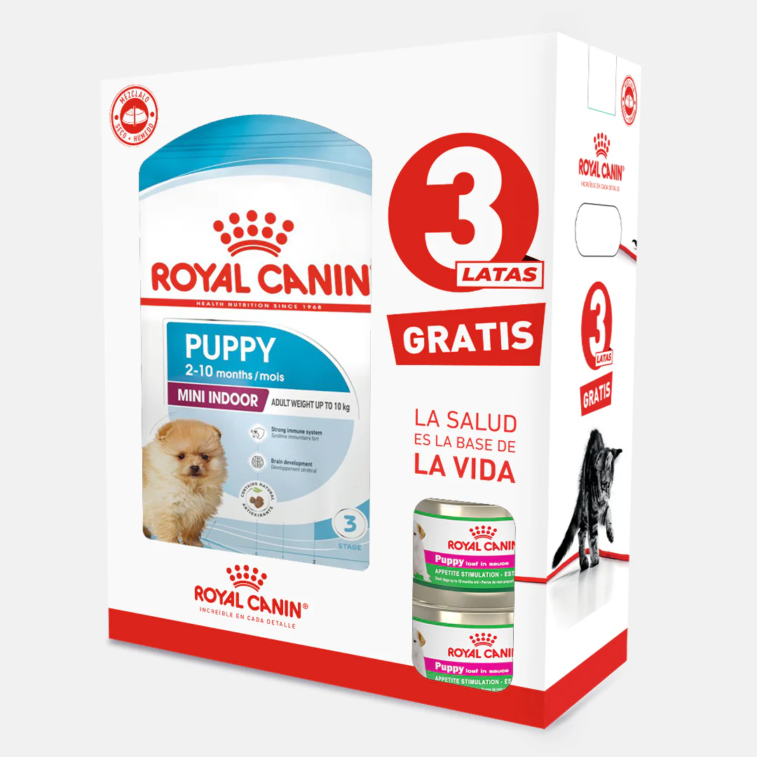 Nuestros recomendados