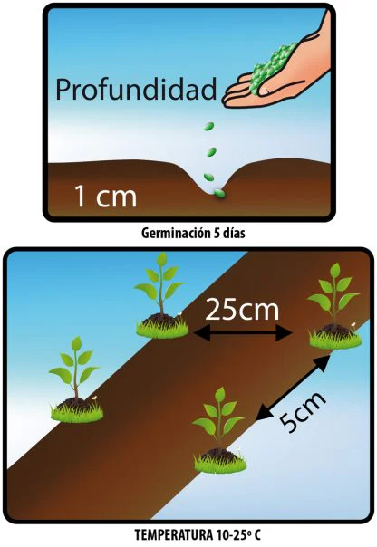 Imagen del producto 2