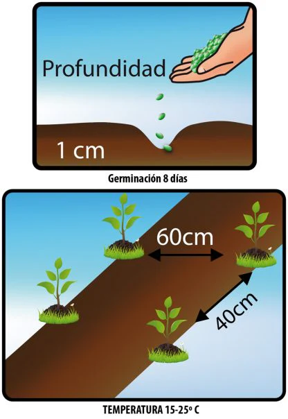 Imagen del producto 2