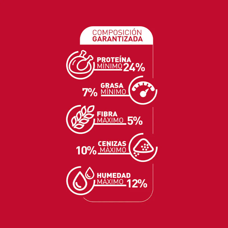 Imagen del producto 6