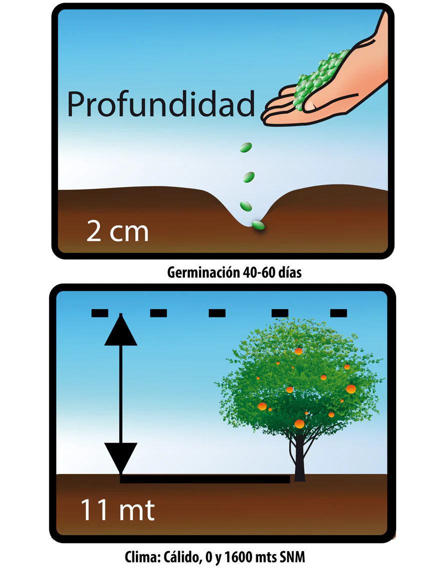 Imagen del producto 2