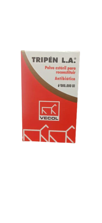 Imagen del producto 4